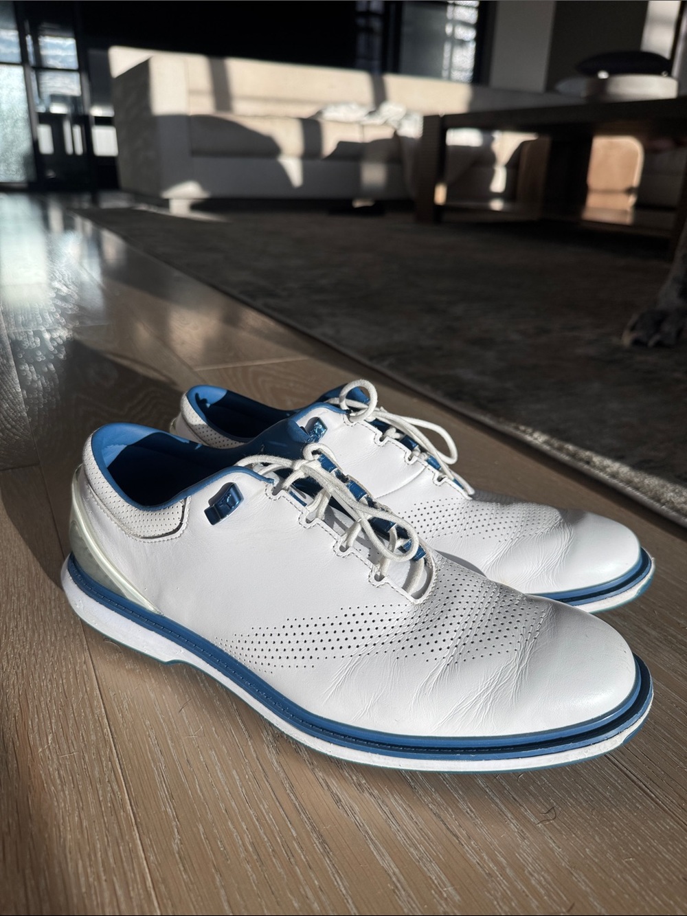 Jordan White and Blue Men’s Golf Shoes